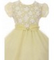 Discount Girls' Special Occasion Dresses On Sale