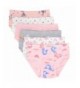 Toddler Little Briefs Panties Underwear