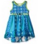 Youngland Girls Printed Chiffon Dress