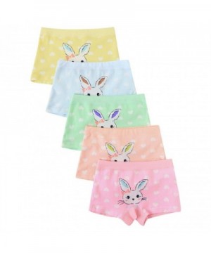 Allmeingeld Rabbit Panties Boyshort Underwear