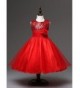 Brands Girls' Special Occasion Dresses