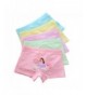 Jiaboy Panties Princess Underwear Boyshorts