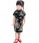 AvaCostume Girls Traditional Chinese Cheongsam