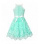 Girls' Special Occasion Dresses