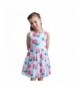 Little Girls Vintage Sleeveless Dresses