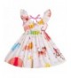 Kseniya Kids Little Dresses Animal