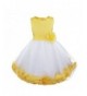 iEFiEL Wedding Bowknot Petals Pageant