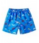 Cheap Real Boys' Swim Trunks Wholesale