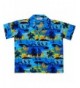 Hawaiian Shirts Allover Sleeve Holiday