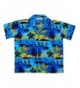 Hawaiian Shirts Allover Sleeve Holiday