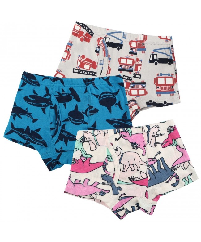 BOOPH Underwear Striped Dinosaur Underpant