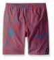 Volcom Boys Shifter Volley Boardshort