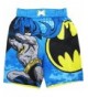 Batman Toddler Cartoon Character Swimwear
