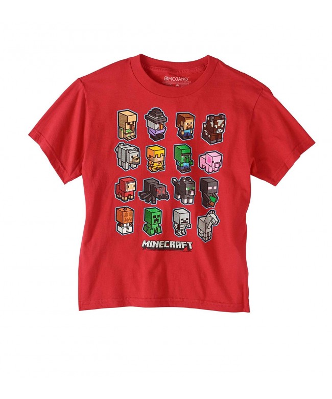 Minecraft Short Sleeve Graphic T Shirt