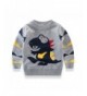 Sweater Dinosaur Sweatshirt Pullover Toddler