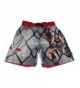 Fashion WWE Swim Trunk