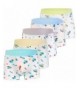 BOOPH Briefs Underwear Boyshort Hipster