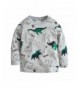 Toddler Dinosaur Sleeve Shirts Crewneck