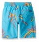 Brands Boys' Board Shorts Outlet Online