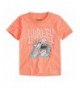 Hurley Boys Character T Shirt