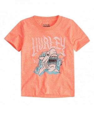 Hurley Boys Character T Shirt