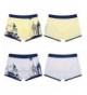 Brands Boys' Boxer Shorts