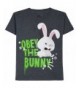 Secret Life Pets Bunny Graphic