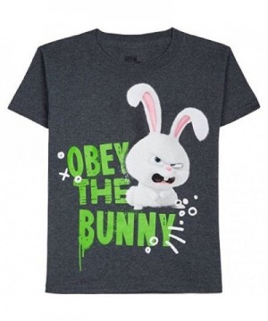 Secret Life Pets Bunny Graphic