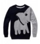 Crewneck Sweatshirt Elephant Dinosaur Pullover