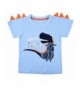 Shirts Toddler Sleeve Little Dinosaur