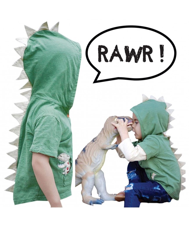 T Rex Dino Toddler Hoodie Girls