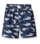 iXtreme Toddler Boys Printed Trunks