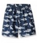 Discount Boys' Swim Trunks