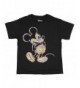 Disney Mickey Living Cartoon Cotton