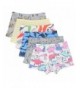 Toddler Little Boys Boxer Briefs