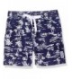 Seafolly Boys Rogue Sailor Boardie