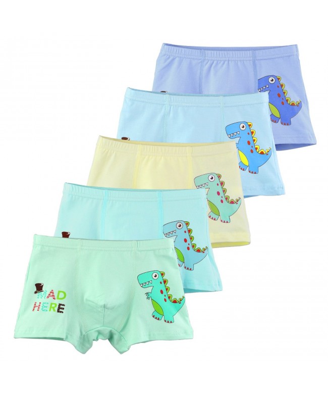 BOOPH Dinosaur Underpant Underwear Assorted