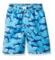 iXtreme Little Boys Printed Trunks