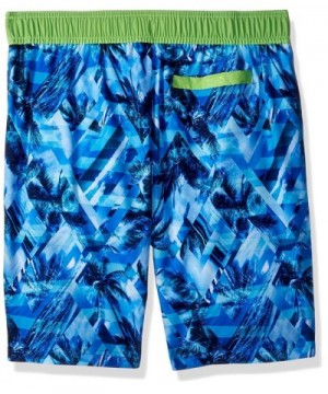 Hot deal Boys' Board Shorts