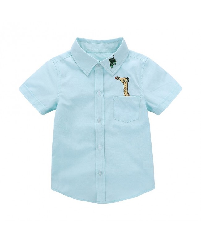 Motecity Fashion Little Turndown Polo Shirt