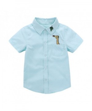 Motecity Fashion Little Turndown Polo Shirt