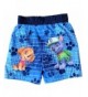 Designer Boys' Board Shorts Online