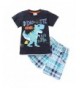 Captain Meow Sleeves Clothing Dinosaur