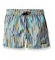 Jr Swim Boys Striped Trunks