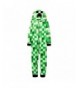 AME Minecraft Mojang Creeper Sleeper