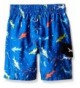 Trendy Boys' Swim Trunks Online Sale