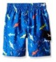 Trendy Boys' Swim Trunks Online Sale