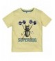 Petit Lem Boys Little T Shirt