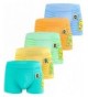 Briefs Cotton Dinosaur Toddler Underwear