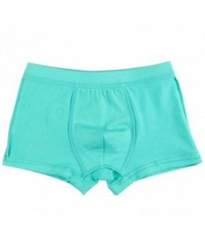 Boy's Boxer Briefs Cotton Dinosaur Short Toddler Underwear Set (Pack of ...